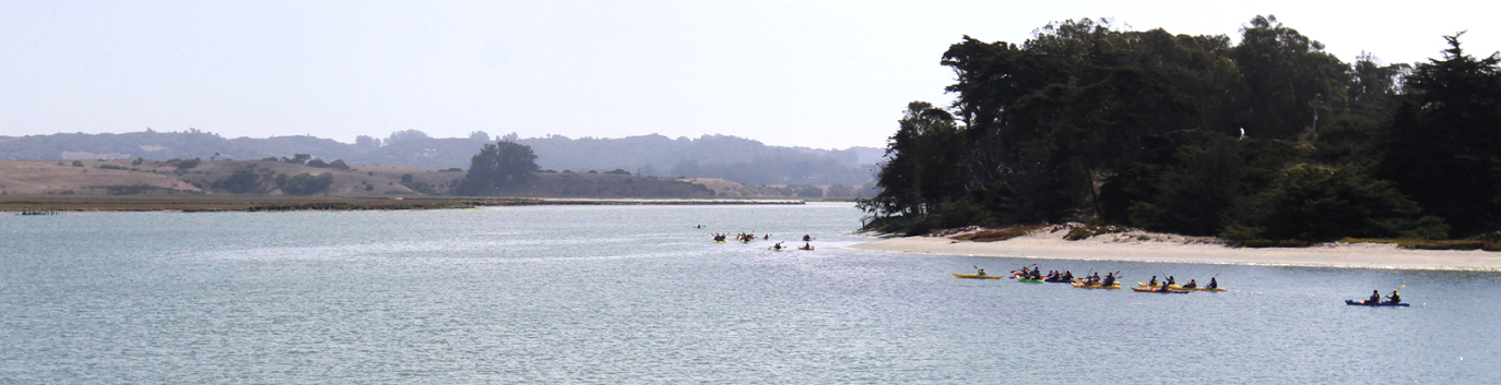 elkhornslough